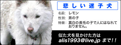 動物生命尊重の会